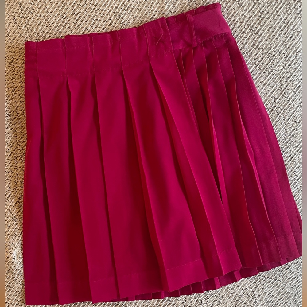 Anthropologie Meadow & Rue Pleated Skirt